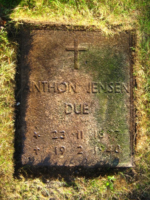 Anton Jensen Due.jpg